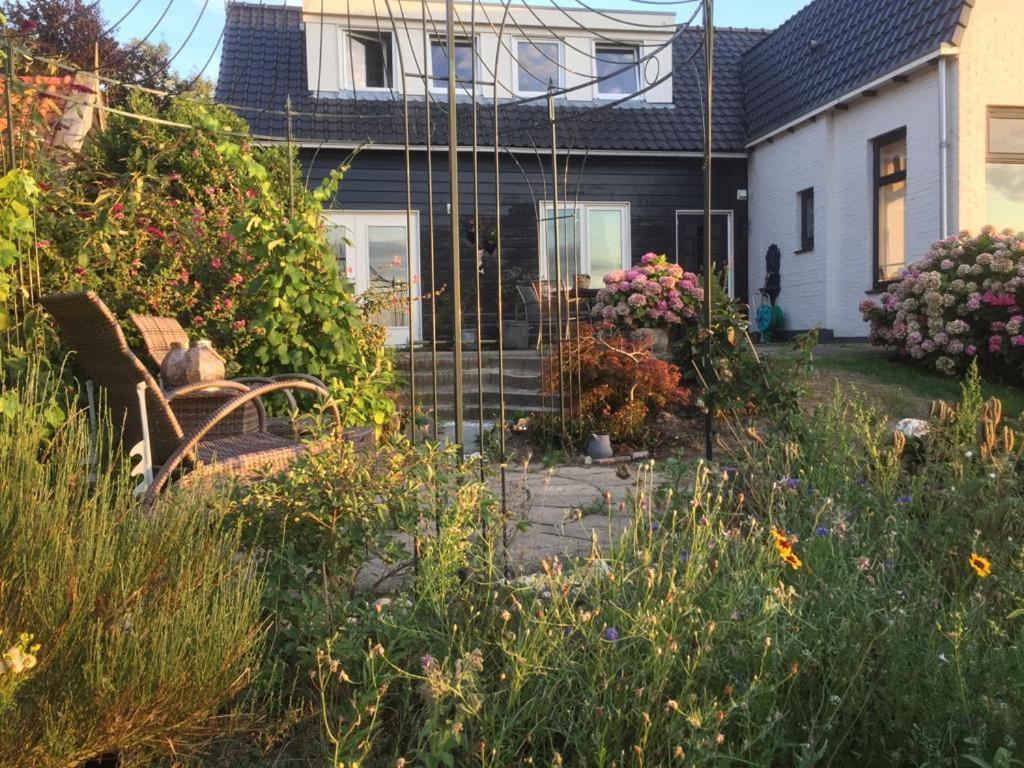 T Huuske Tuinappartement Met Fantastisch Uitzicht, Nabij Zee Zonnemaire Εξωτερικό φωτογραφία
