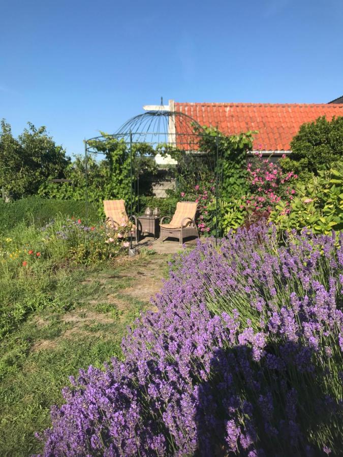 T Huuske Tuinappartement Met Fantastisch Uitzicht, Nabij Zee Zonnemaire Εξωτερικό φωτογραφία